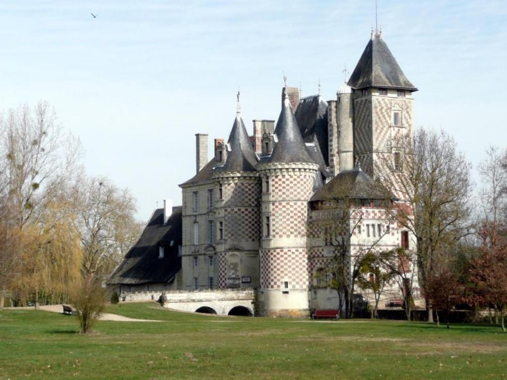 Chateau Des Reaux Chouzé-sur-Loire Eksteriør bilde